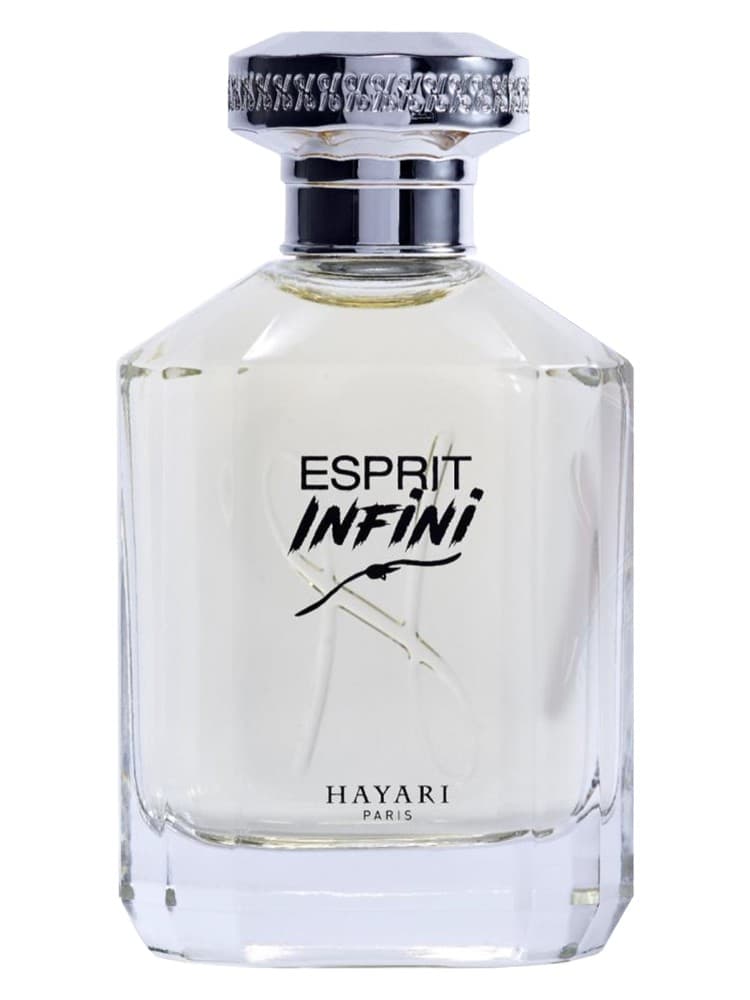 Esprit Infini