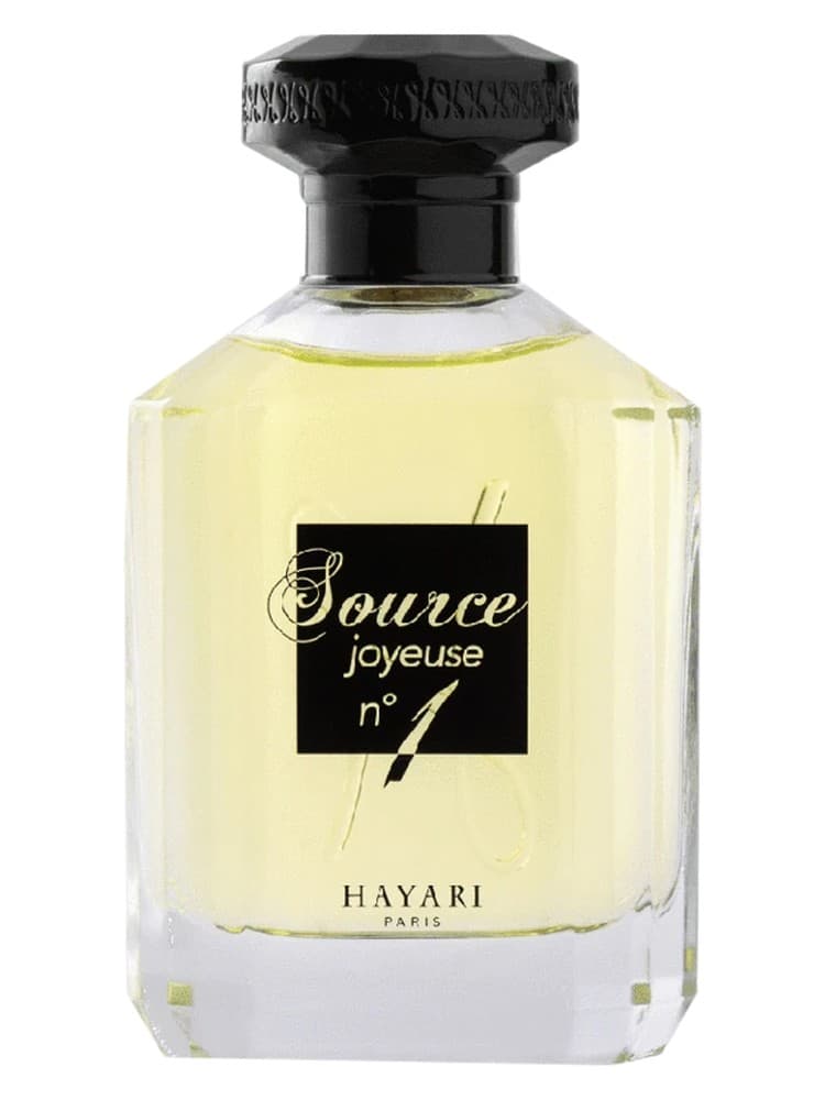 Source Joyeuse No1