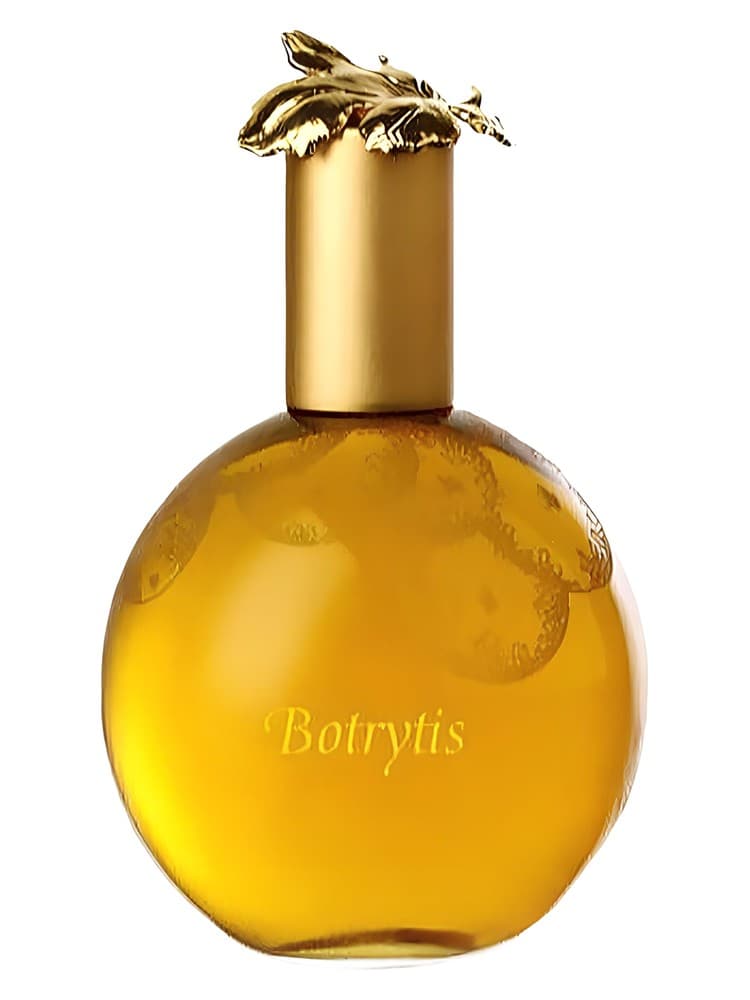 Botrytis
