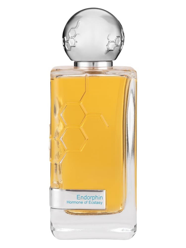 Endorphin