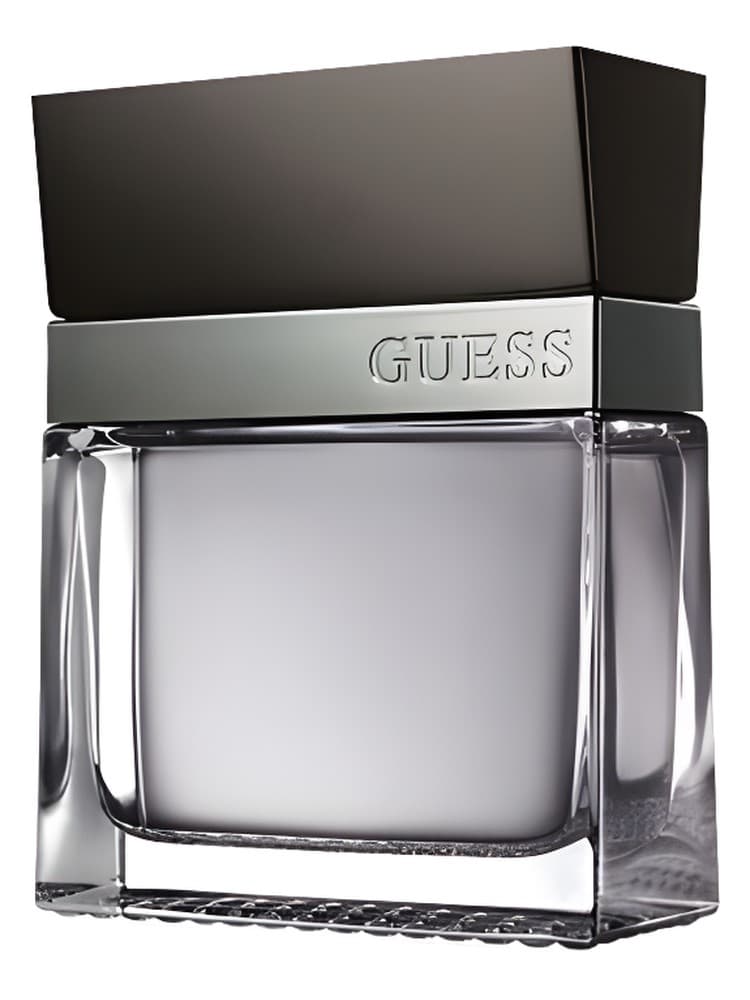 Guess Seductive Homme