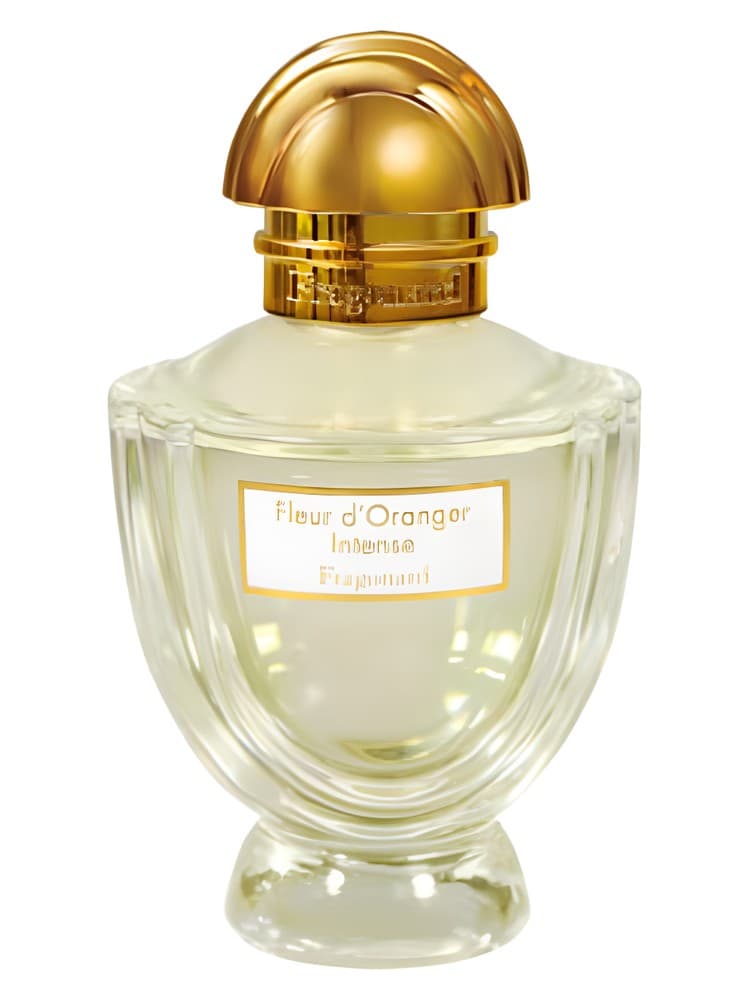 Fleur D oranger Intense