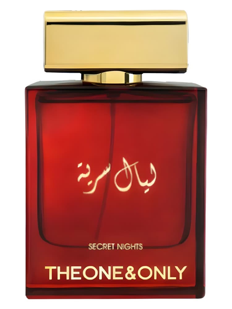 The One Only Secret Nights