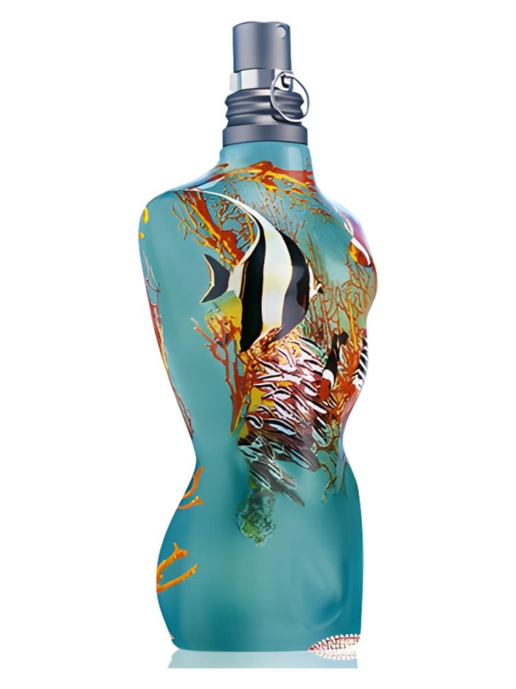 Le Male Les d Ete 2005