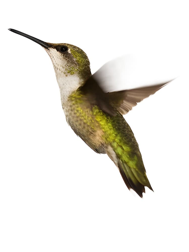 Hot Tension Dynamit Pepper