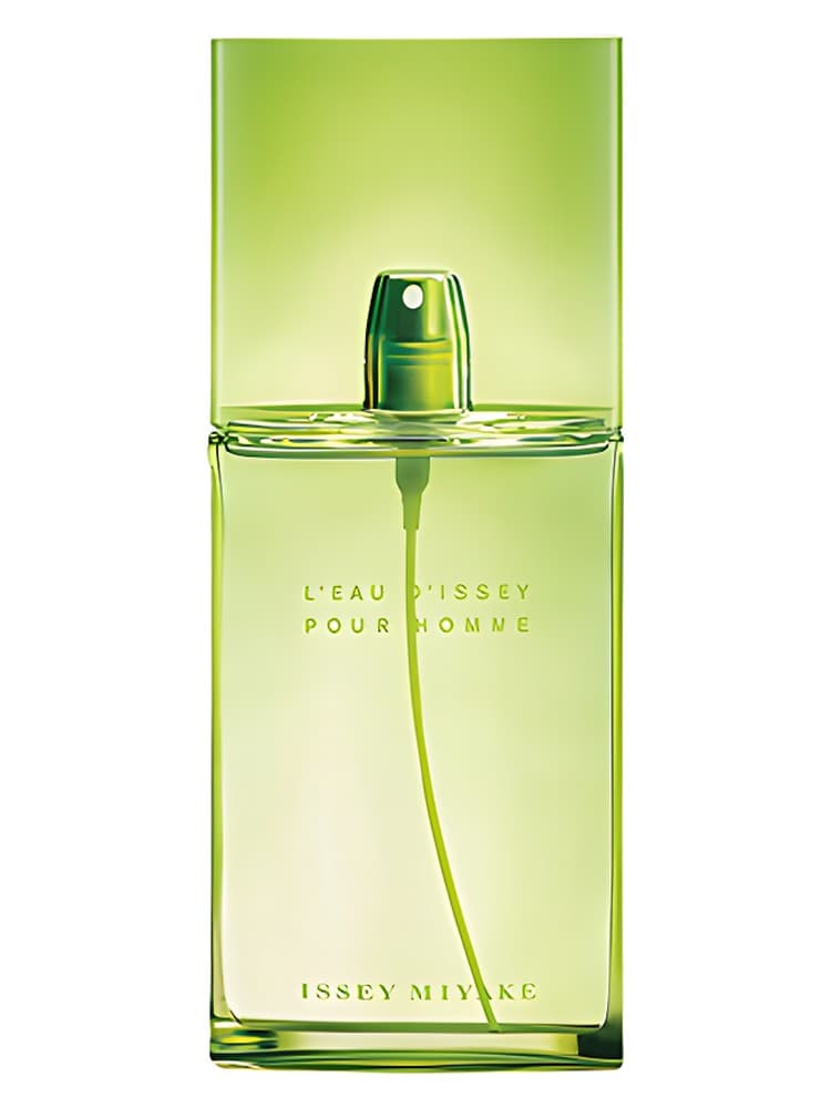 L Eau d Issey Pour Homme Summer 2006