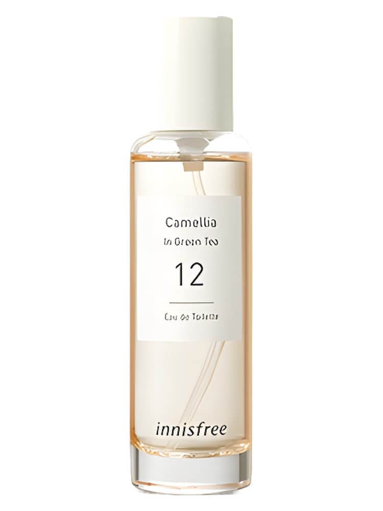 12 Camellia in Green Tea
