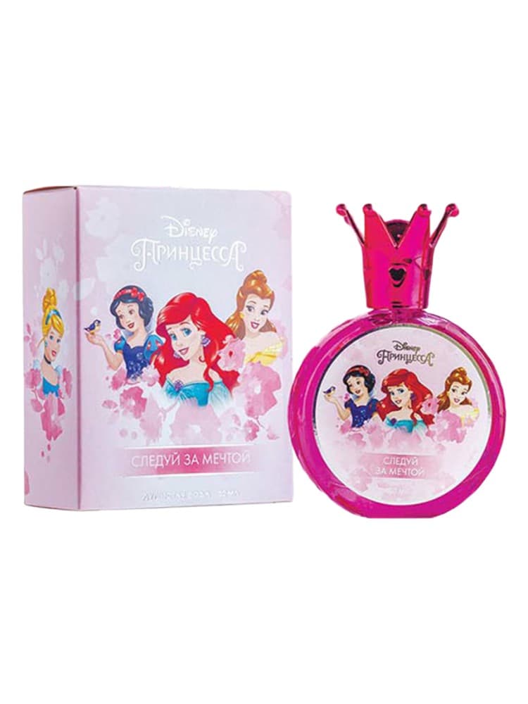 Disney Princess Follow Your Dream Disneevskaa Princessa Sleduj Za Mectoj