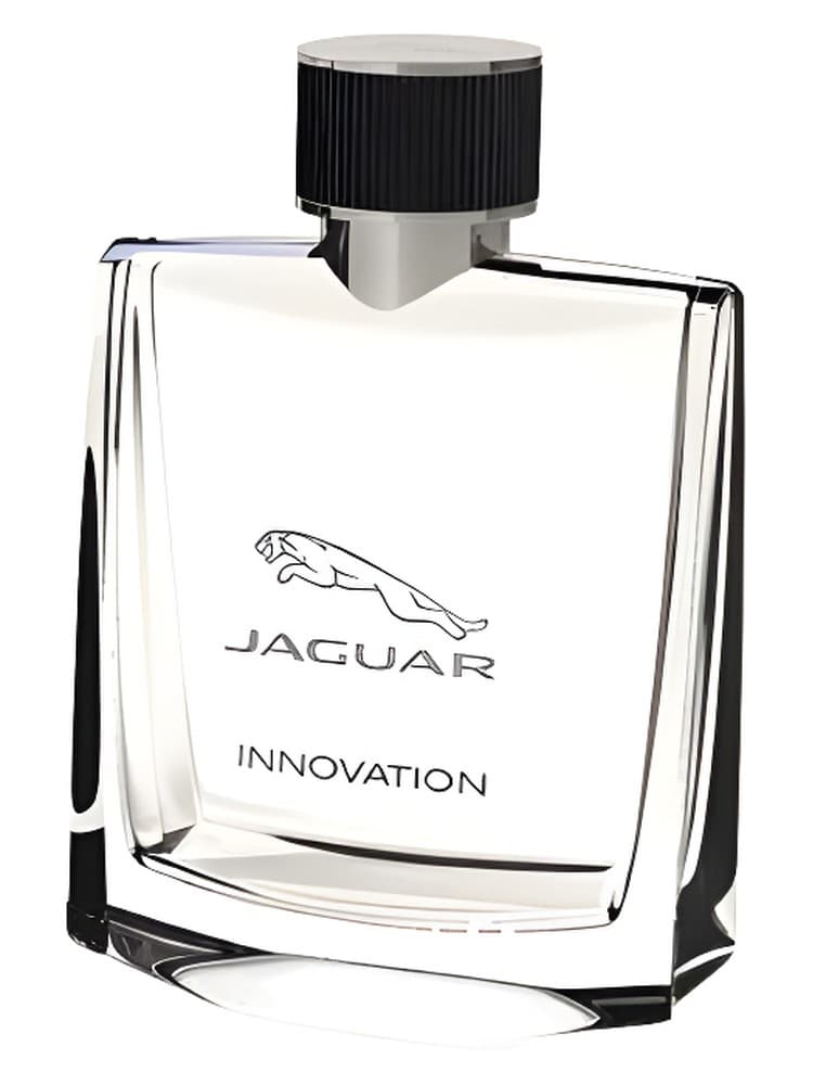 Jaguar Innovation