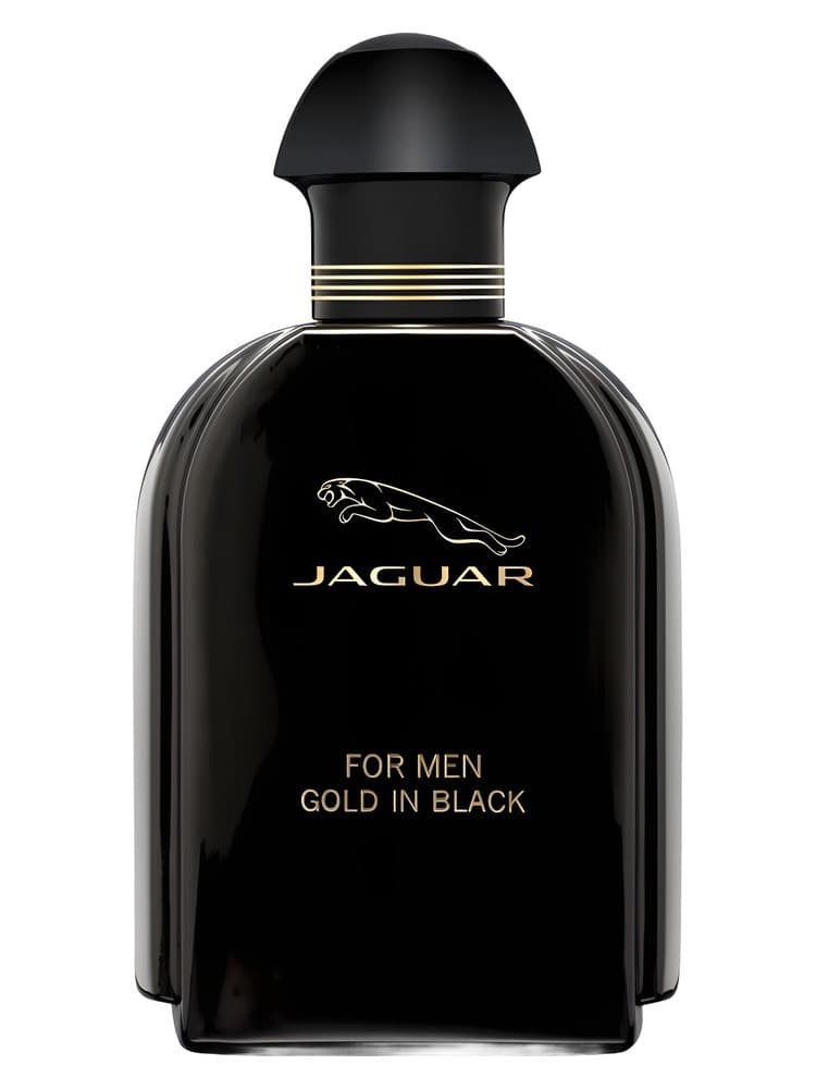 Jaguar For Men Gold in Black