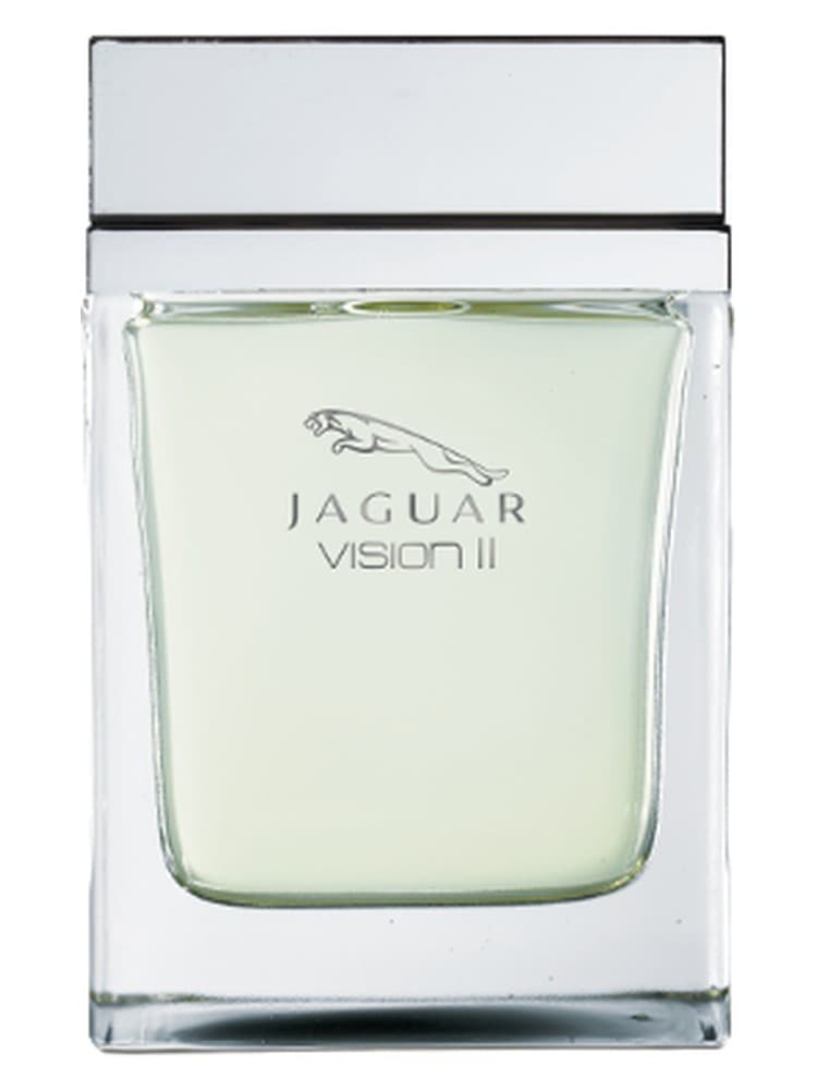 Jaguar Vision II