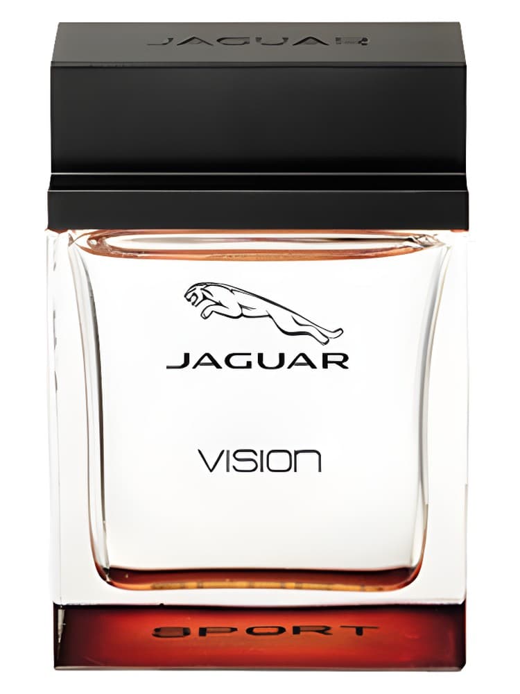 Jaguar Vision Sport
