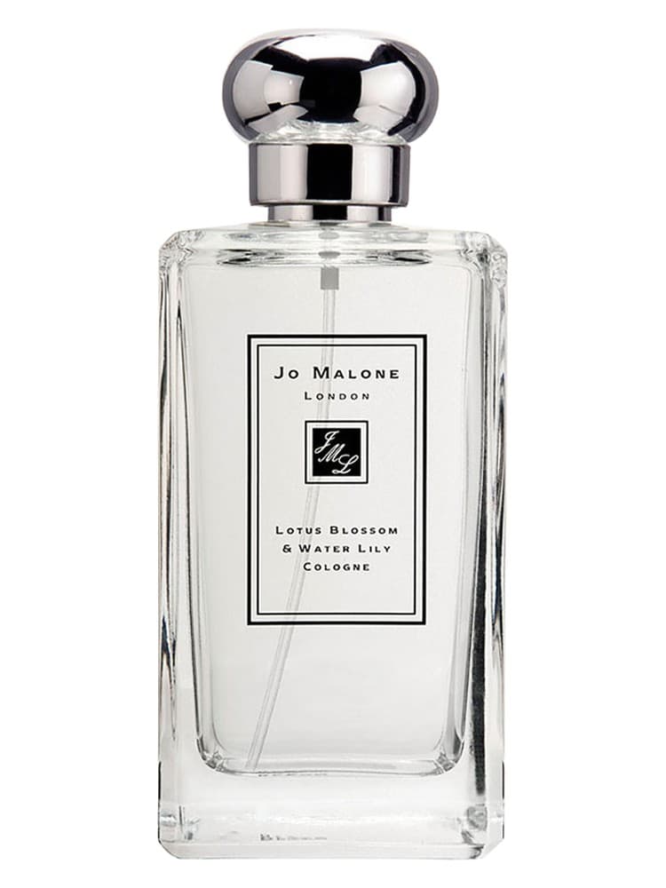 Lotus Blossom Water Lily