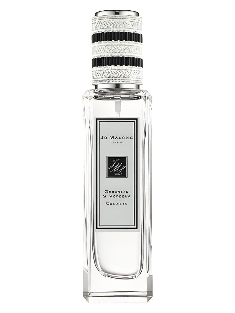 Rock The Ages Geranium Verbena