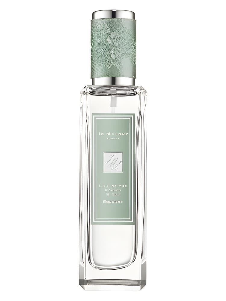 Rock The Ages Lily of the Valley Ivy