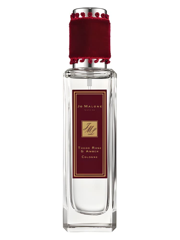 Rock The Ages Tudor Rose Amber