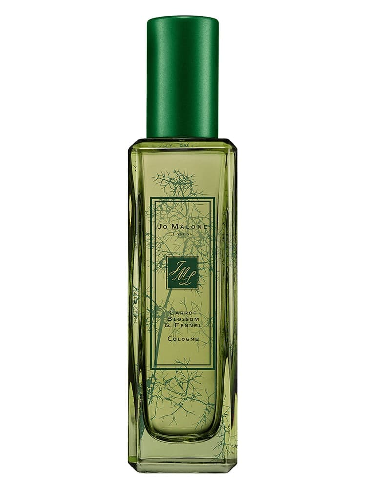 Carrot Blossom Fennel