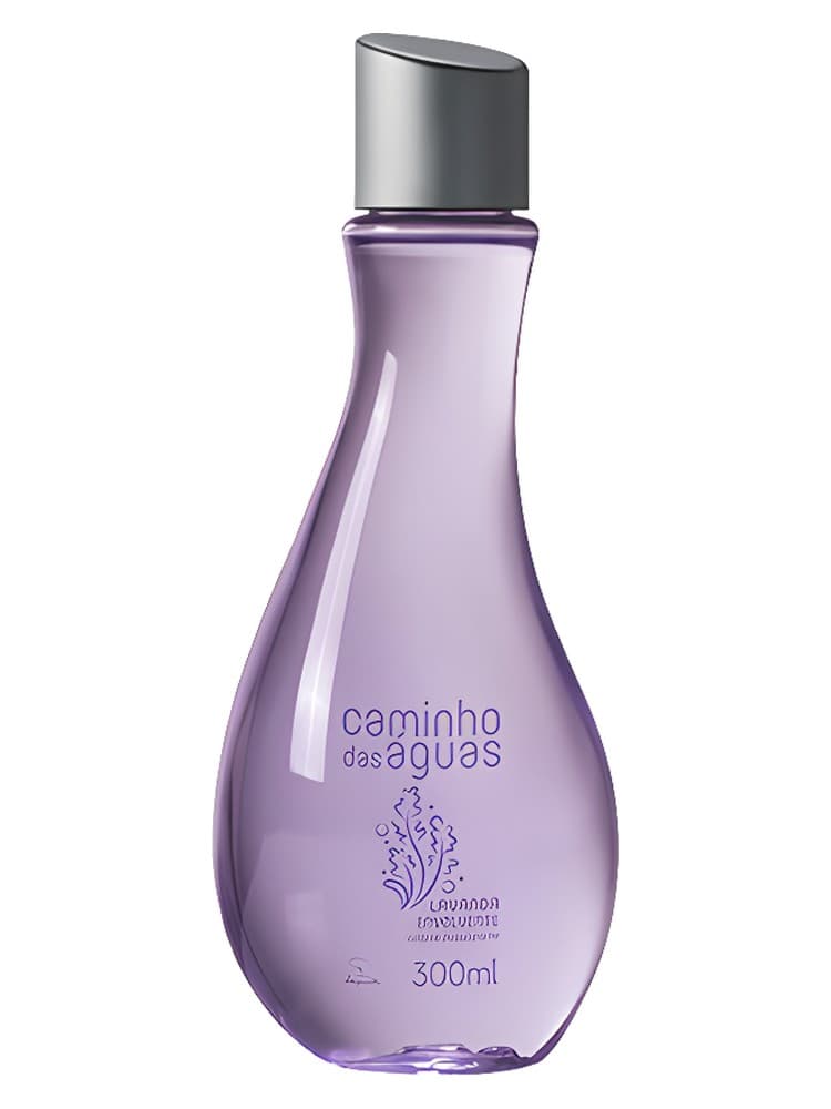 Lavanda Envolvente