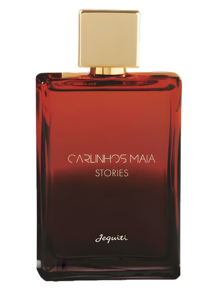 Carlinhos Maia Stories