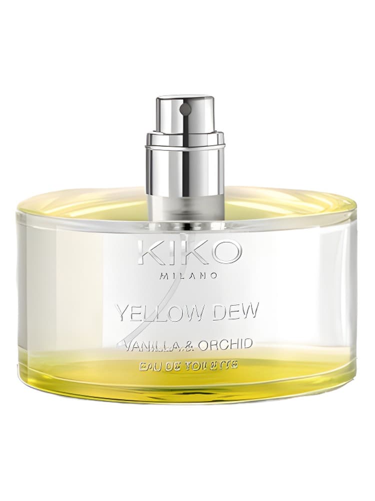 Yellow Dew Vanilla Orchid