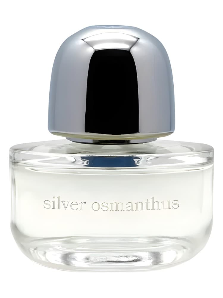 Silver Osmanthus