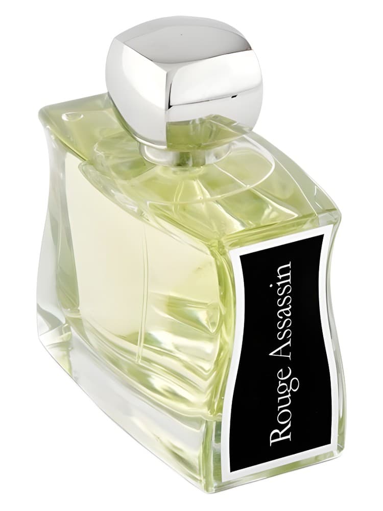 Rouge Assassin