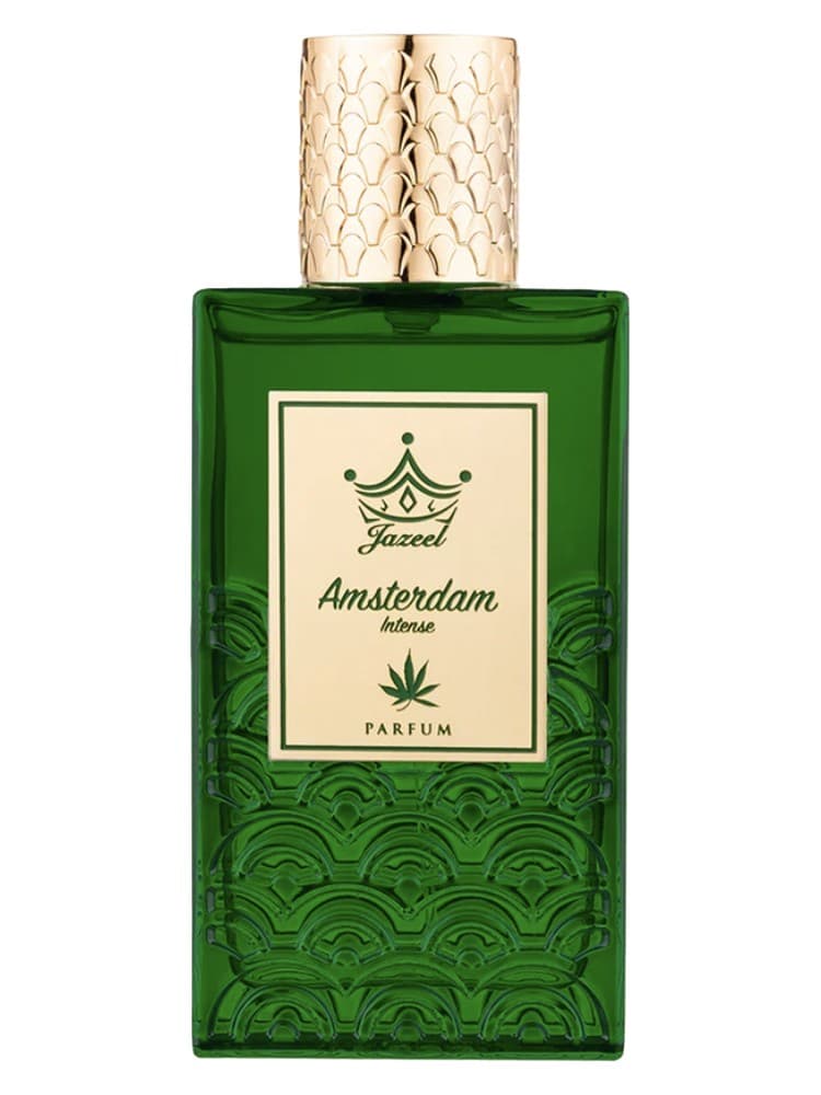 Amsterdam Intense