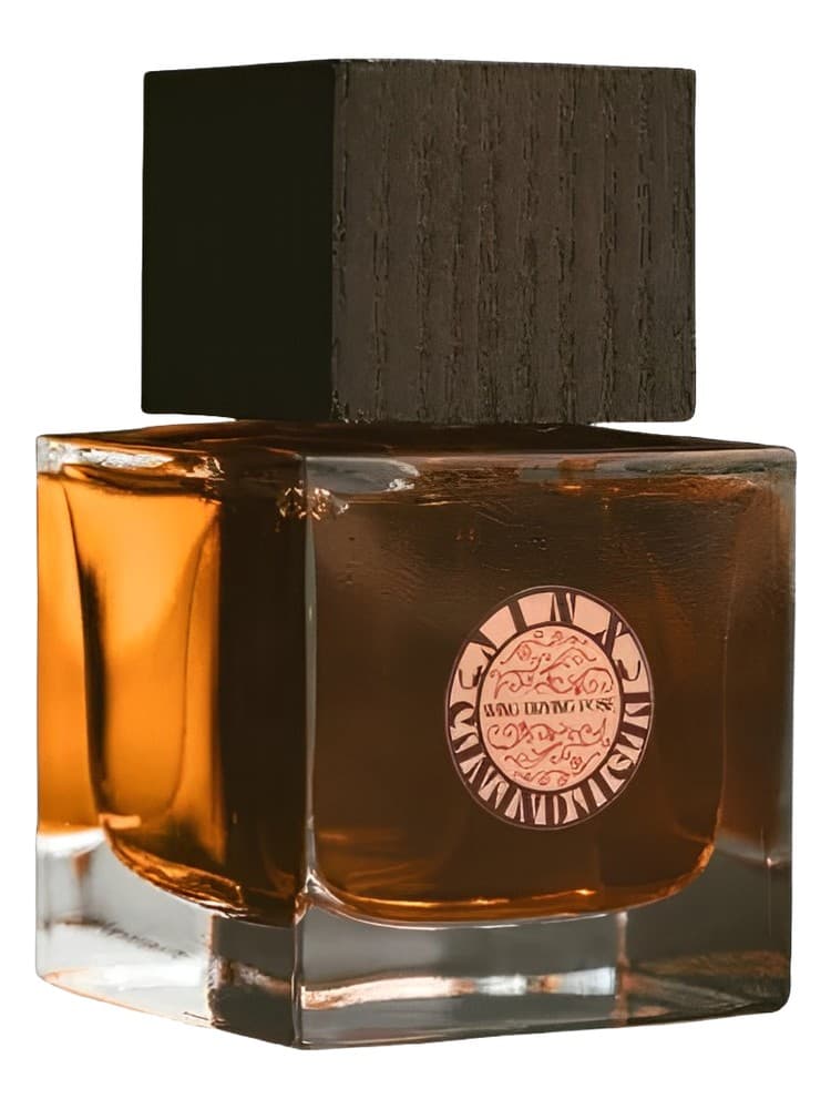 Wing Drying Pose V2 Isparta