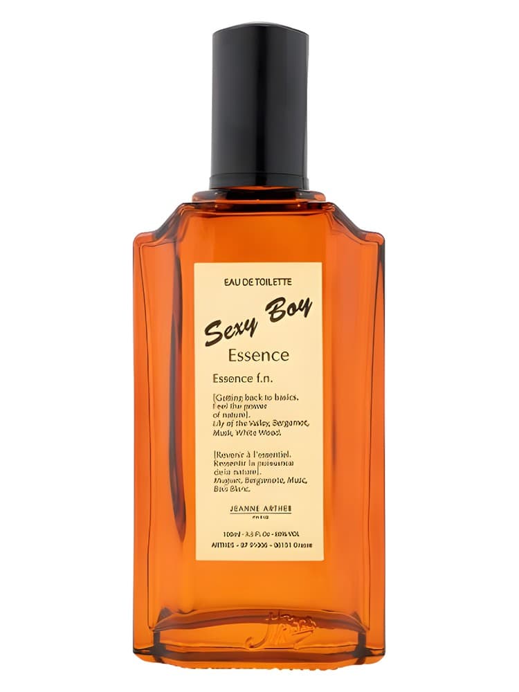Sexy Boy Essence