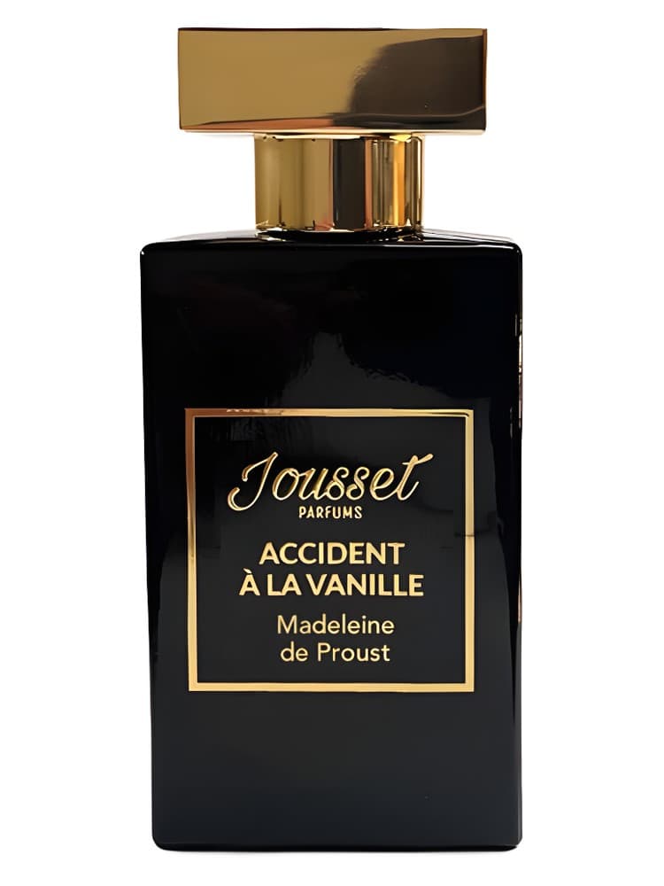 Accident A La Vanille Madeleine de Proust