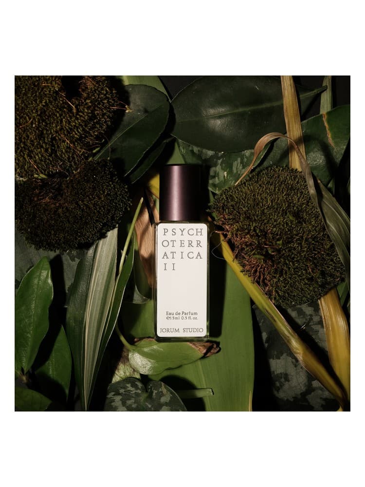 Psychoterratica II 2020