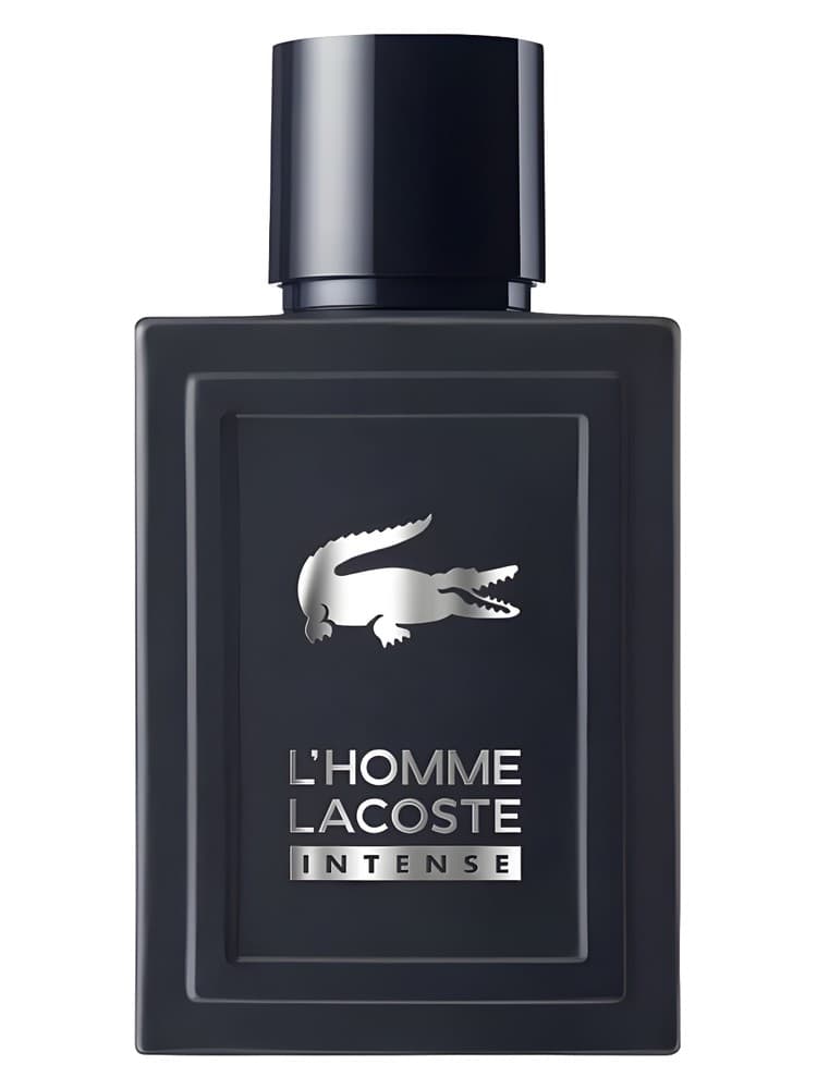 L Homme Lacoste Intense