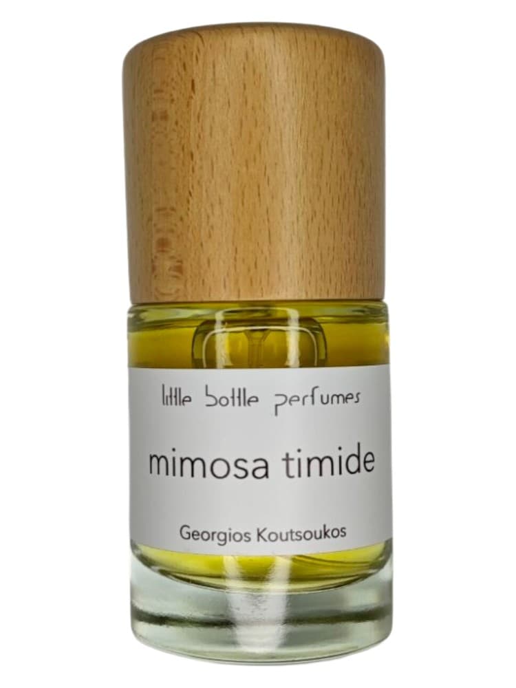 mimosa timide