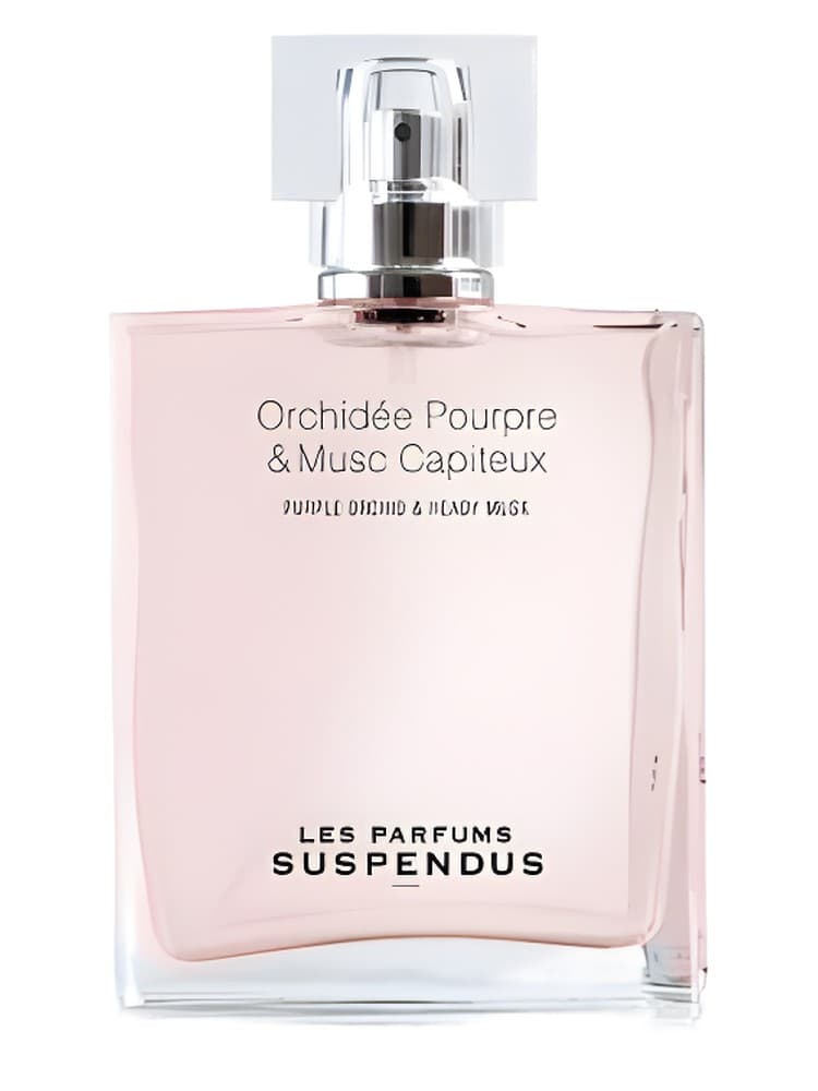 Orchidee Pourpre Musc Capiteux