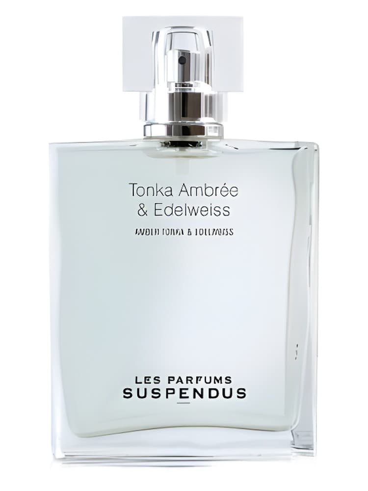 Tonka Ambree Edelweiss
