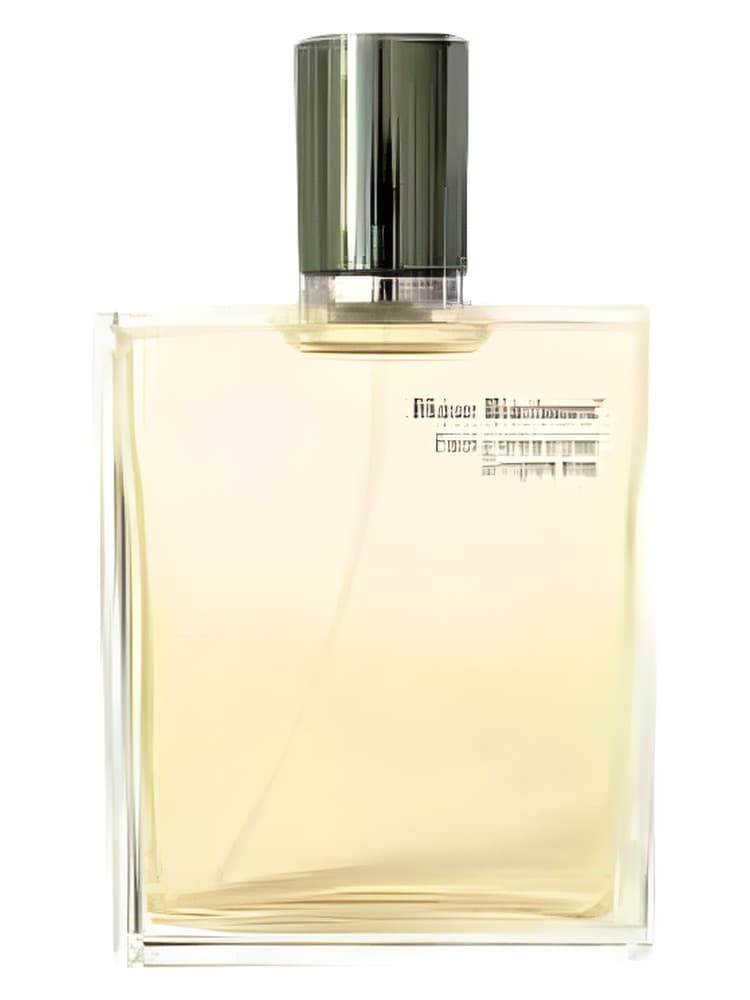 New Barbers Pamplemousse Gingembre