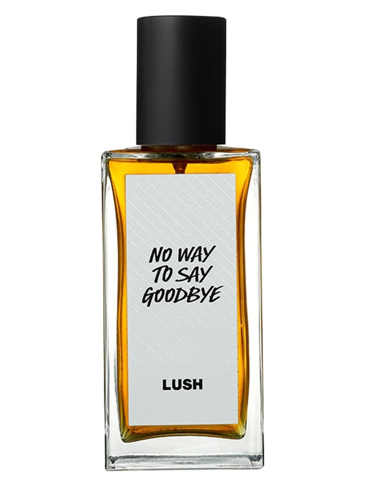 No Way To Say Goodbye