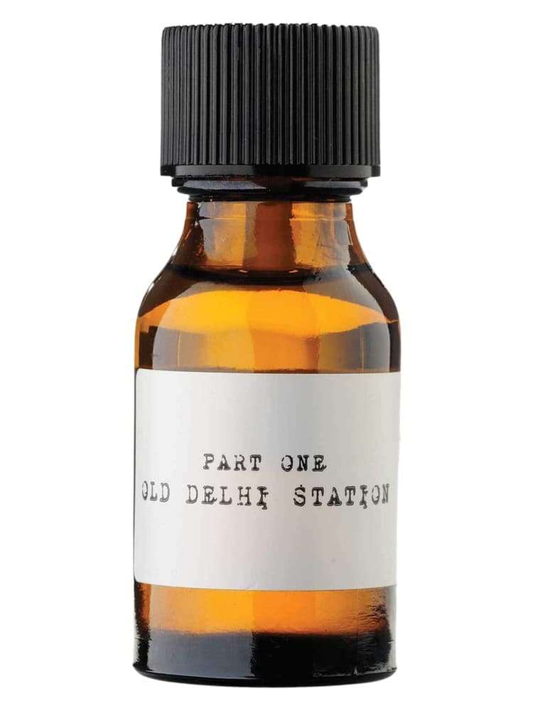 Smell of Freedom Part 2 Old Delhi Station