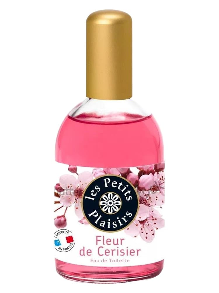 Fleur de Cerisier