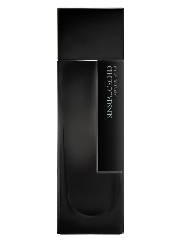 Sensual Orchid