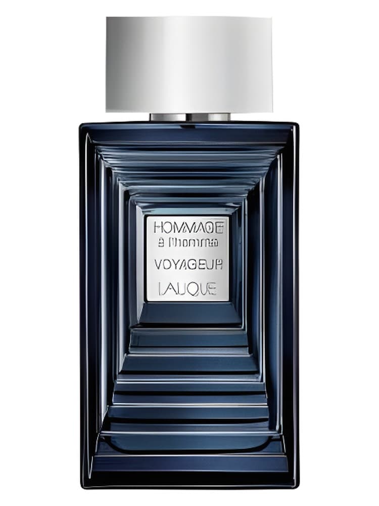 Hommage a l homme Voyageur