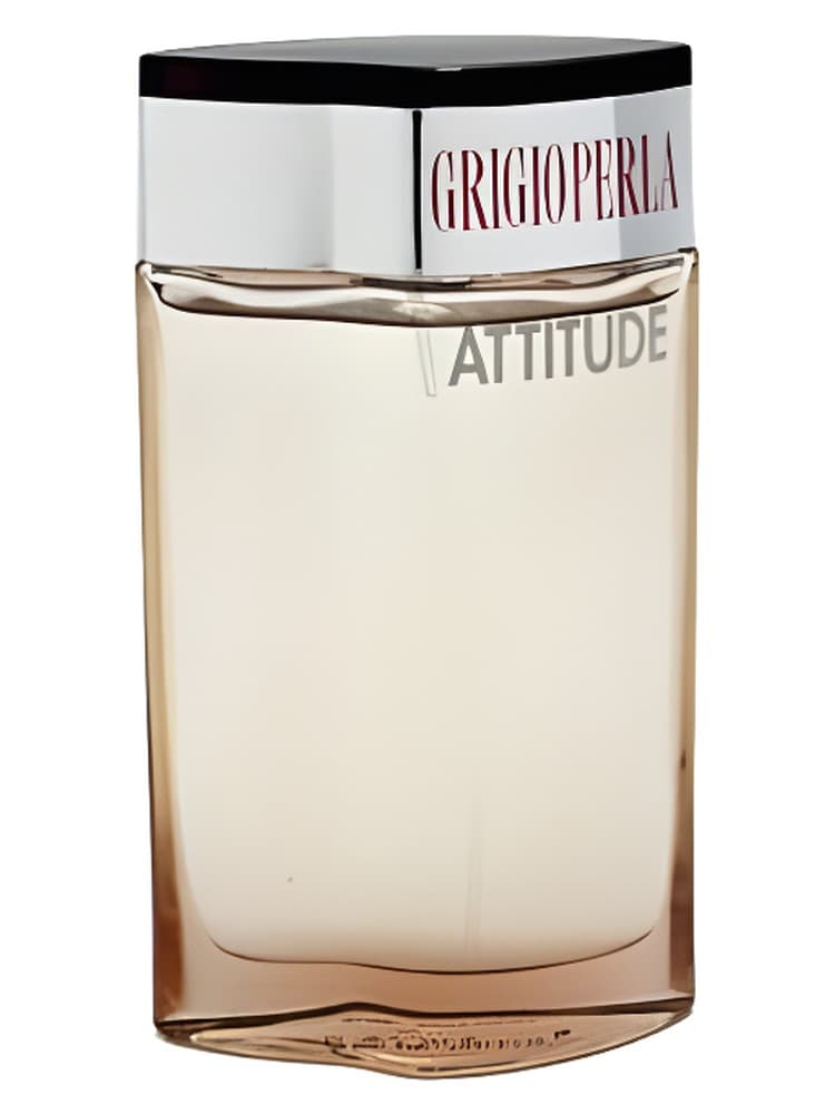 Grigioperla Attitude