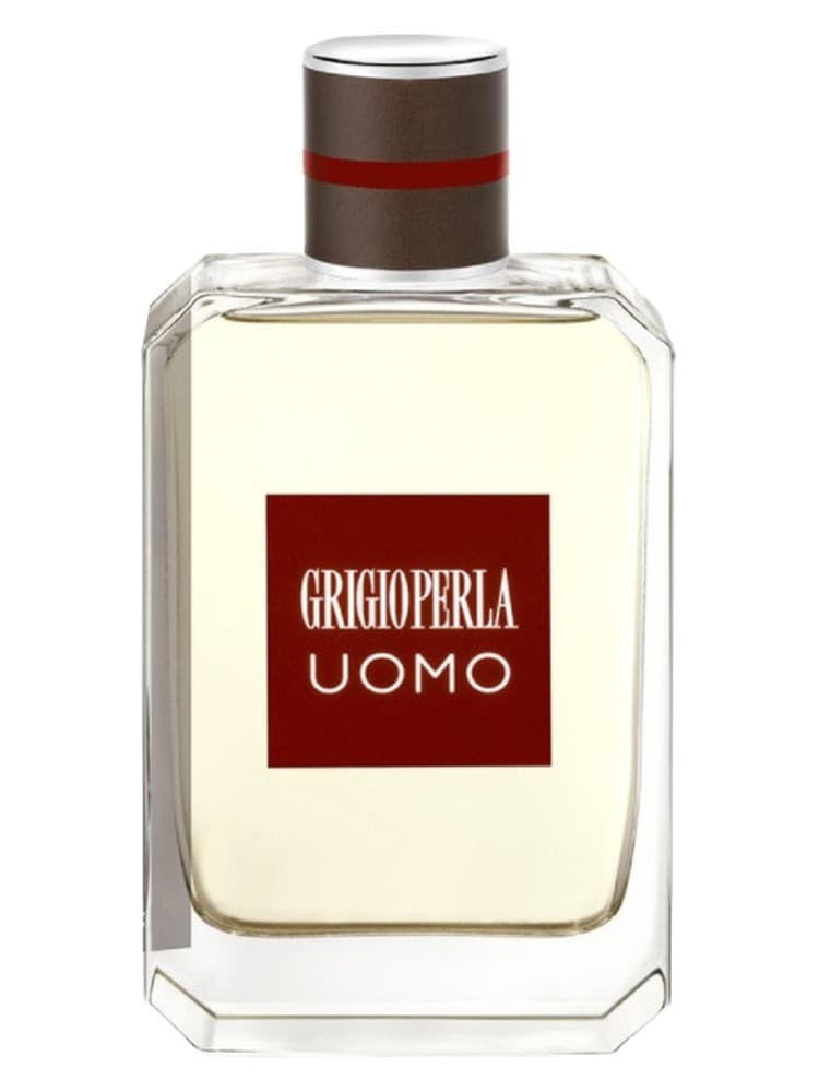 Grigioperla Uomo