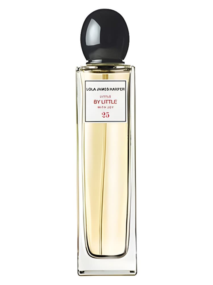 Little By Little With Joy