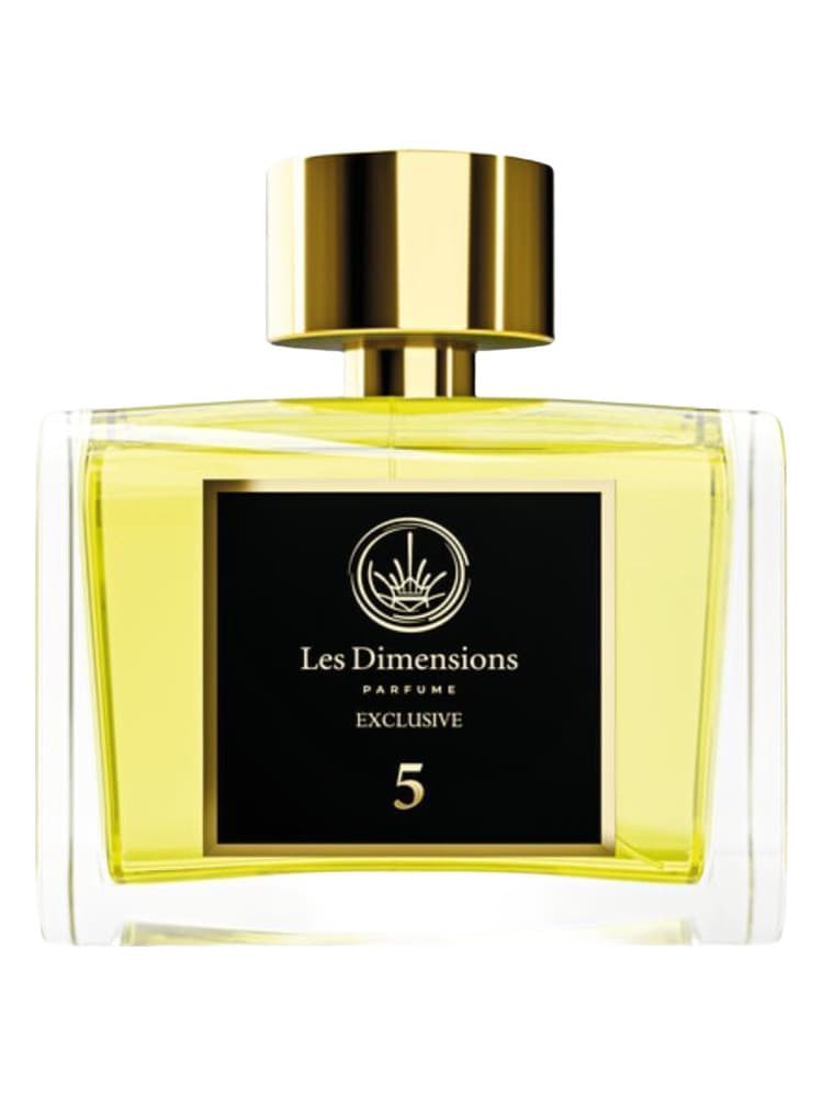 Dimension 5 Sans frontieres