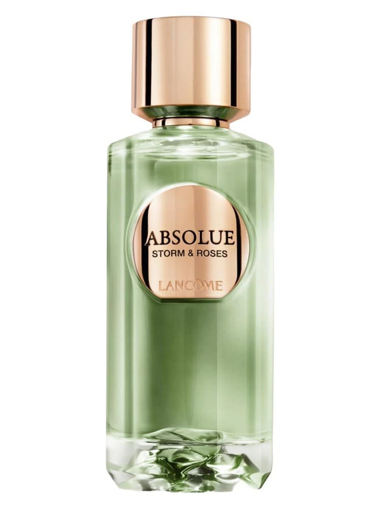 Absolue Storm Roses