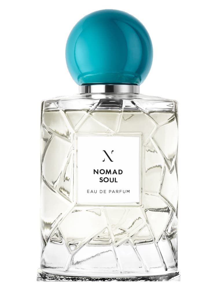 Nomad Soul