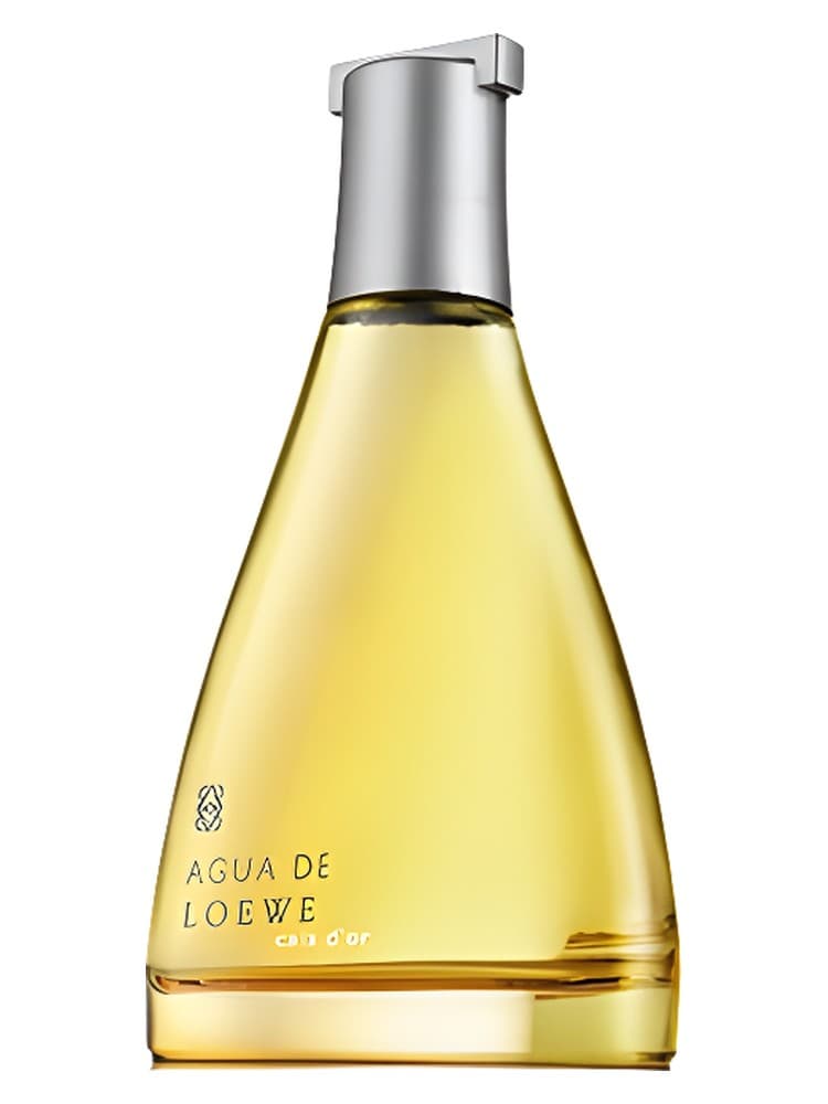 Agua de Loewe Cala d Or