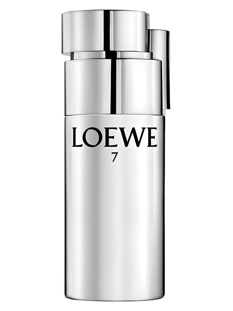 Loewe 7 Plata