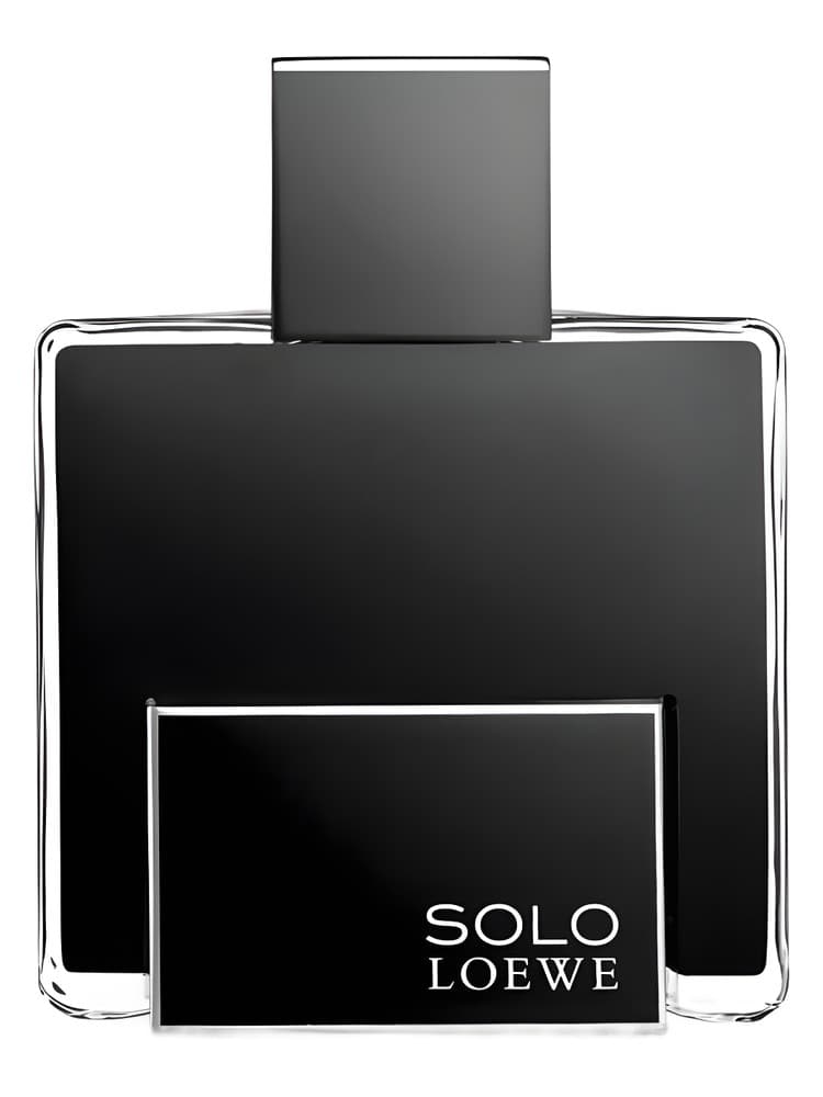 Solo Loewe Platinum